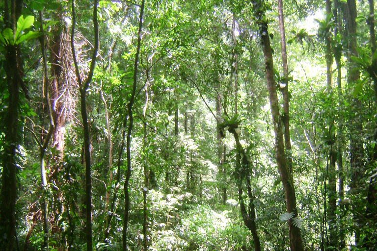 Trinidad: Cascada del Río Seco