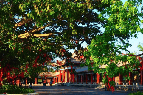 海口：火山火山口公园与永庆寺之旅