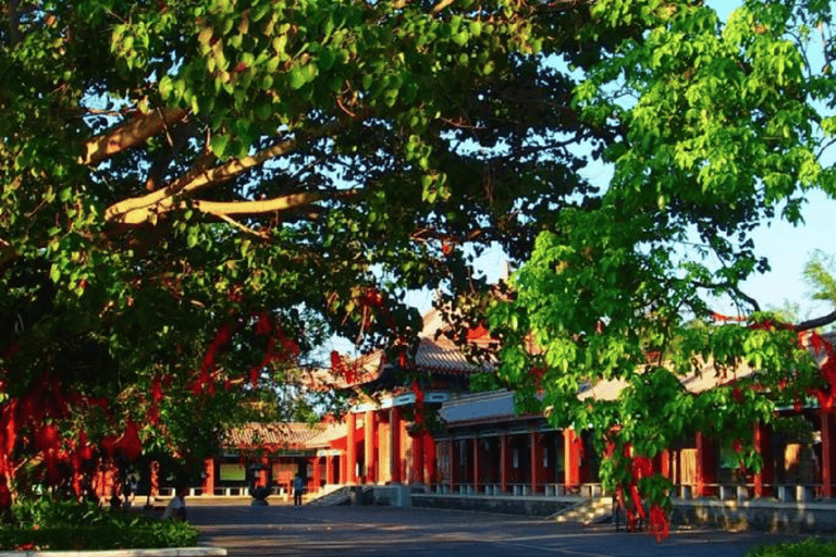 海口：火山火山口公园与永庆寺之旅