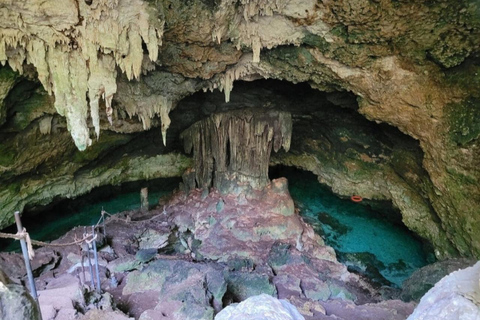 Zanzibar: Jozani Forest, Kuza Cave, Paje Beach & The Rock Private tour with trasfer and entry fees included