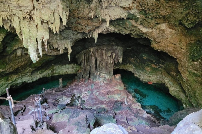 Zanzibar: Jozani Forest, Kuza Cave, Paje Beach & The Rock Private tour with trasfer and entry fees included