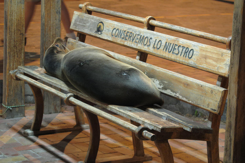 Galapagos: Rundresa med öluffning 7 dagar - 6 nätter