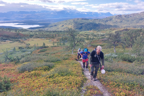 Abisko: Inkanjaure Hidden Lake Hike