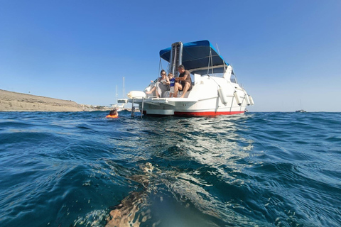 Båttur från Puerto de Mogán längs kusten till Güigüi