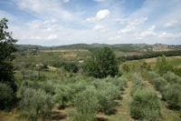 Cooking lezione sulla terrazza a Fattoria del Chianti con pranzo - Housity