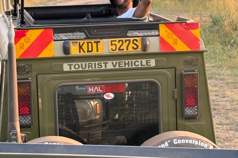 Nairobi: Private Layover Safari with Airport Pickup