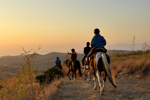 Romantic Experience with horses in the Natural Reserve WWF