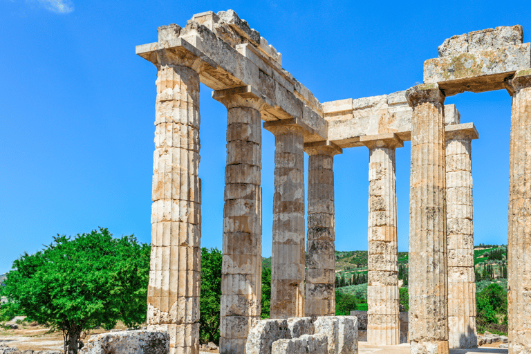 Visite privée de luxe : Sites antiques de Némée et dégustation de vin