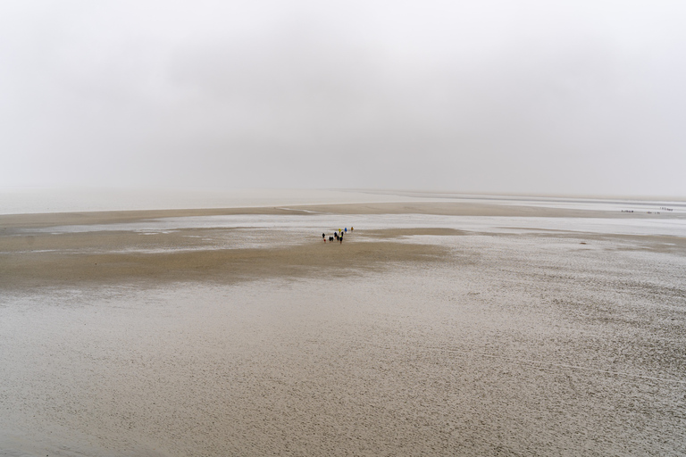 From Paris: Mont Saint Michel Day Trip with a Guide