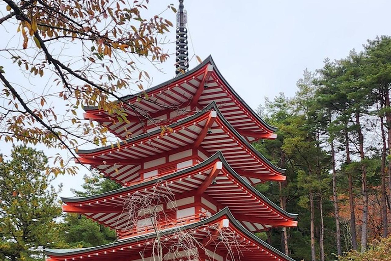 Visite guidée privée du Mont Fuji et de Hakone