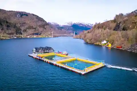 Hardangerfjord: tour guidato di un allevamento di salmoni