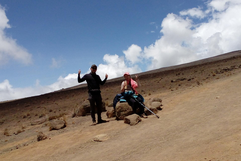 Kilimanjaro: 8 dias de caminhada na Rota de Lemosho