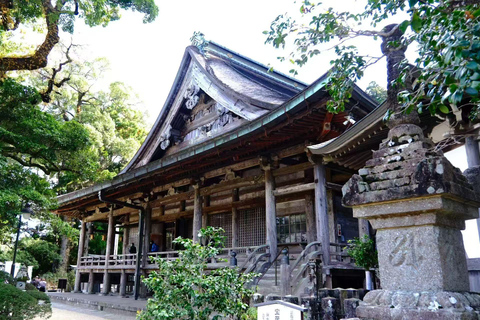 Kumano Kodo & Kumano Sanzan One-Day Tour from Osaka
