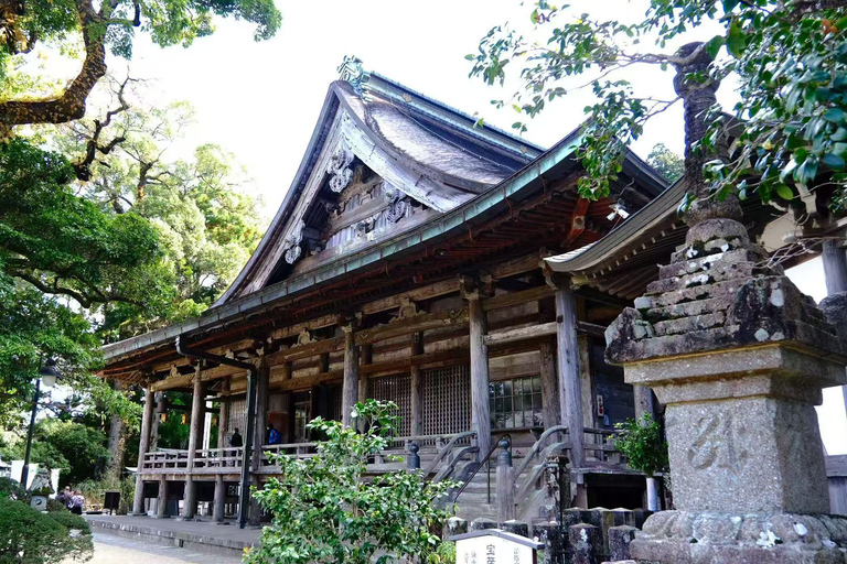 Kumano Kodo & Kumano Sanzan One-Day Tour from Osaka