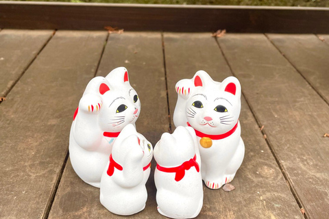 Tokyo: Gotokuji Cat Temple, Shinjuku Cat Cafe & 3D Cat Tour
