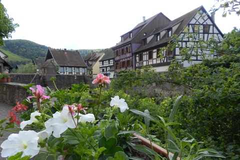 Safari Wine Villages & Wine tasting