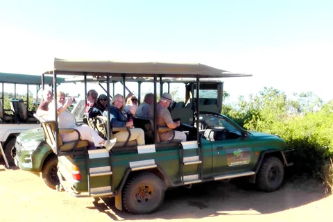 Port Elizabeth: Schotia Safaris Game Reserve Safari