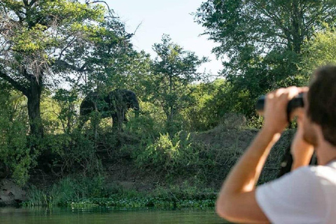 Victoria Falls: Zambezi River Ra-Ikane Cruise with Drinks