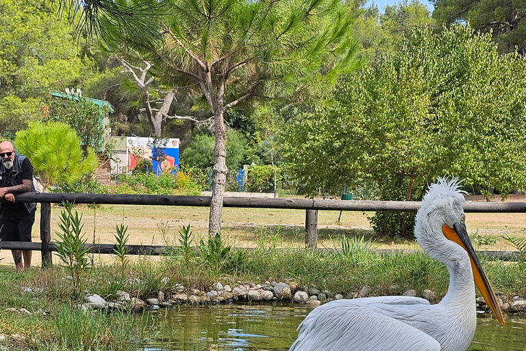 Från Durrës: Divjakë-Karavasta nationalpark dagsutflykt