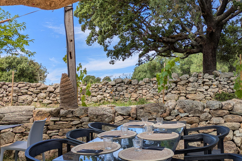 Korsika: Verkostung von Bio-WeinenKorsika: Bio-Weinverkostung