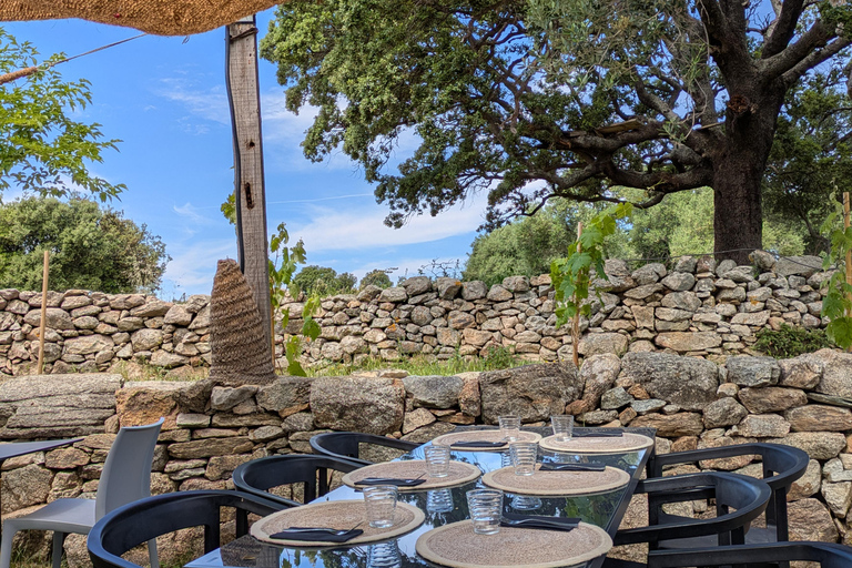 Korsika: Verkostung von Bio-WeinenKorsika: Bio-Weinverkostung