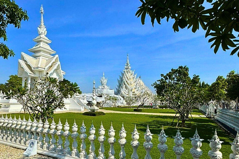 Chiang Mai: Templi del Buddha bianco, blu e grande a Chiang Rai