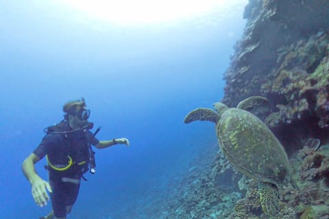 Plongée: demi journée d’exploration à Tahiti