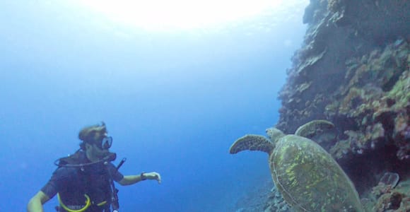 Diving: Half-Day Exploration in Tahiti