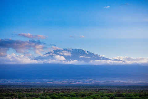 Overnight Safari to Amboseli from Nairobi