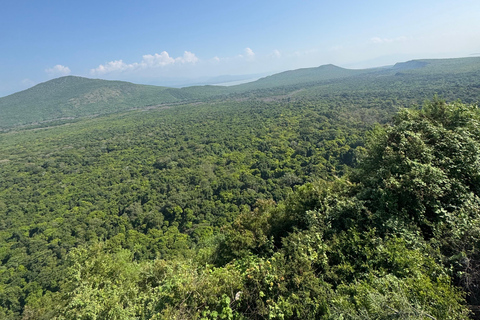 Addis Ababa: 14-Day National Parks and Wildlife Tour