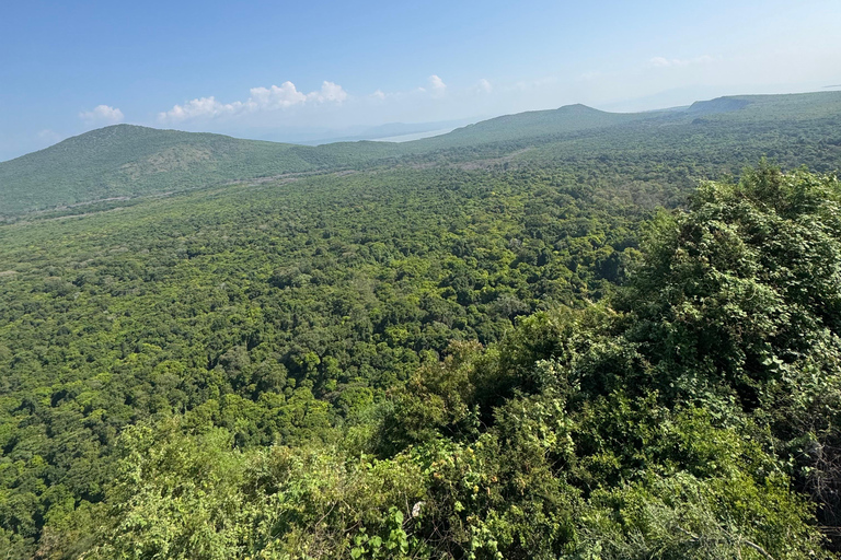 Addis Ababa: 14-Day National Parks and Wildlife Tour