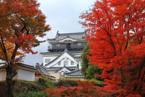 From Nagoya: Miso Factory, Fox Statue Shrine & Castle
