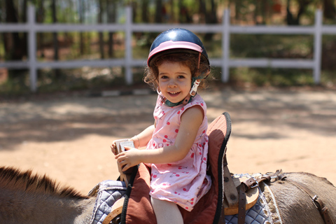 Paseos en burro para niños Experiencia