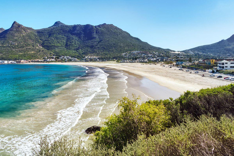 Cidade do Cabo: Excursão particular de 1 dia à Península do Cabo com guia local