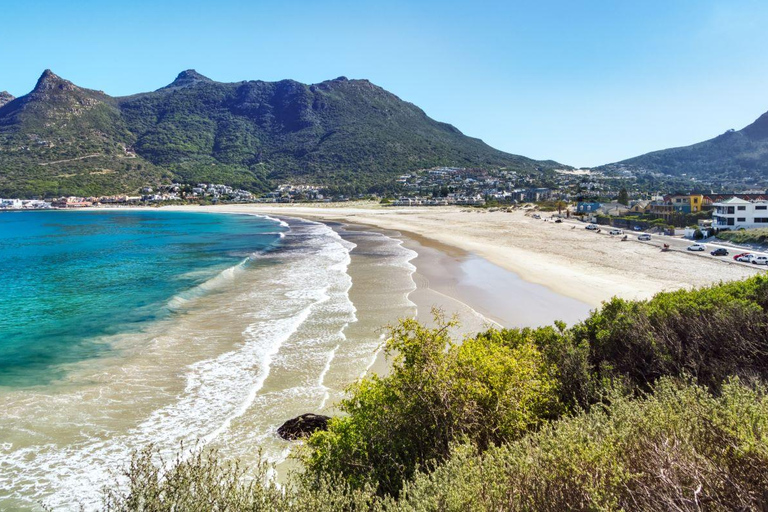 Cidade do Cabo: Excursão particular de 1 dia à Península do Cabo com guia local