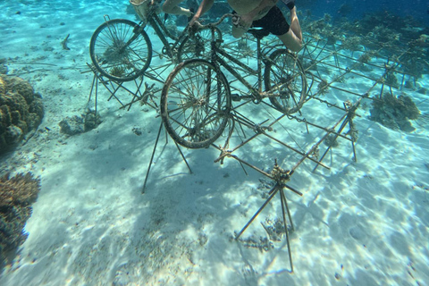 Gili Trawangan: Private Turtle Snorkeling Tour with GoPro 2-Hours Private Snorkeling Tour Turtle & Gopro