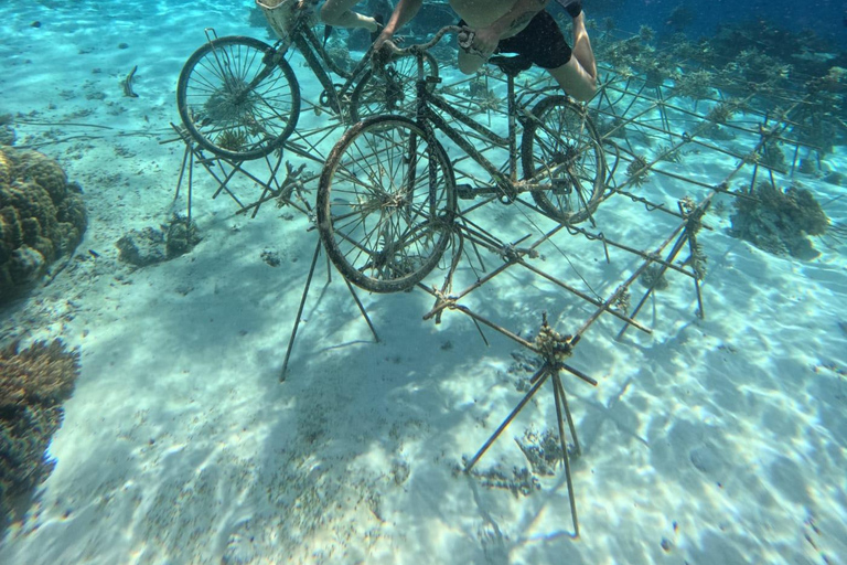 Gili Trawangan: Private Turtle Snorkeling Tour with GoPro 2-Hours Private Snorkeling Tour Turtle & Gopro