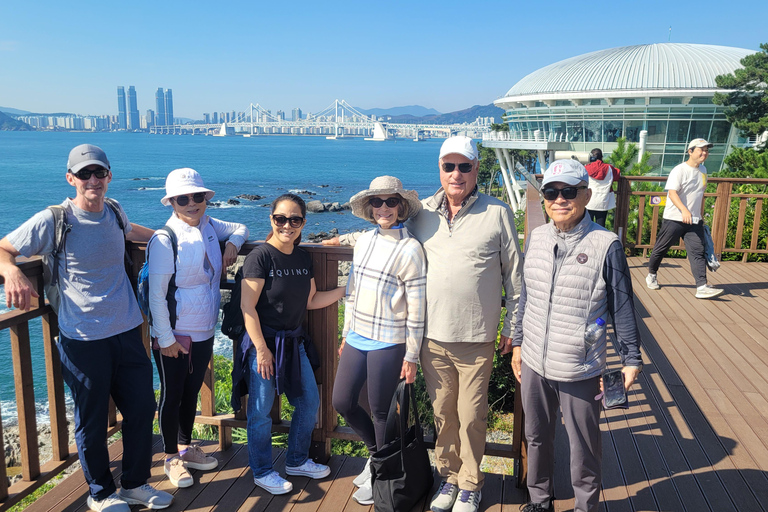 Busan Highlights Day Tour from Seoul by KTX - Capsule Ride