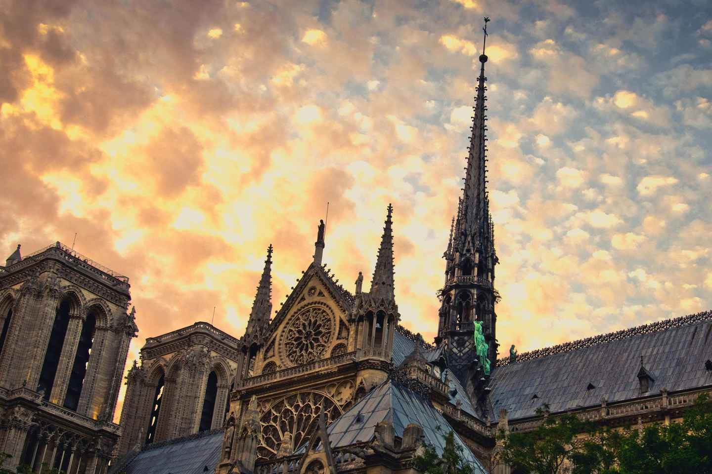 Kathedrale Notre-Dame: Reservierter Einlass und Rundgang auf der Île de la Cité
