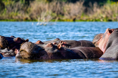 2-Tage Lake Nakuru und Hells Gate mit Bootsfahrt