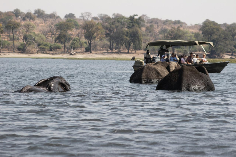 3 Days Selous/Nyerere NP (Game Drive, Boat &amp; Walking Safari)3 Días en el PN Selous/Nyerere (safari en coche, en barco y a pie)