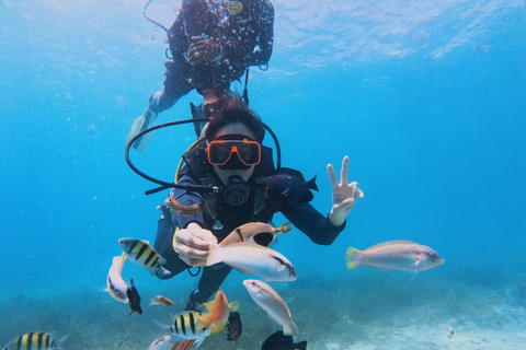 Cebu: Discover Scuba Diving Experience with Hotel Pickup
