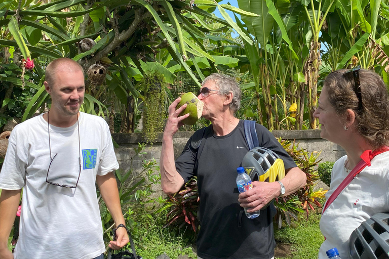 Ubud: Downhill-cykeltur med risfält, vulkan och måltidPrivat grupp