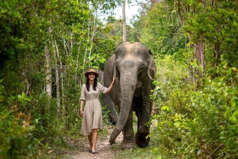 Siem Reap: Small Group Tour of Kulen Elephant Forest