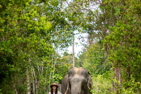 Siem Reap: Kleine groepstour door het olifantenbos van Kulen