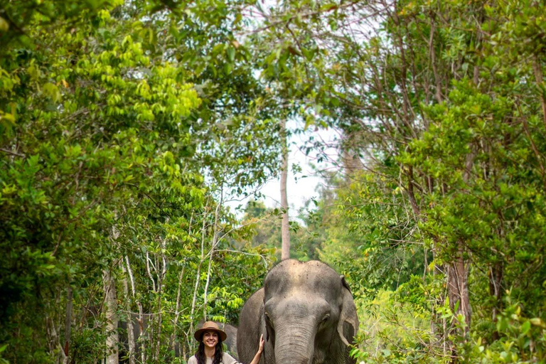 Siem Reap : Visite en petit groupe de la forêt d'éléphants de Kulen