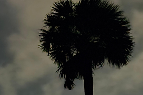 Charleston: Gullah Geechee Culture, Heritage & History Tour.