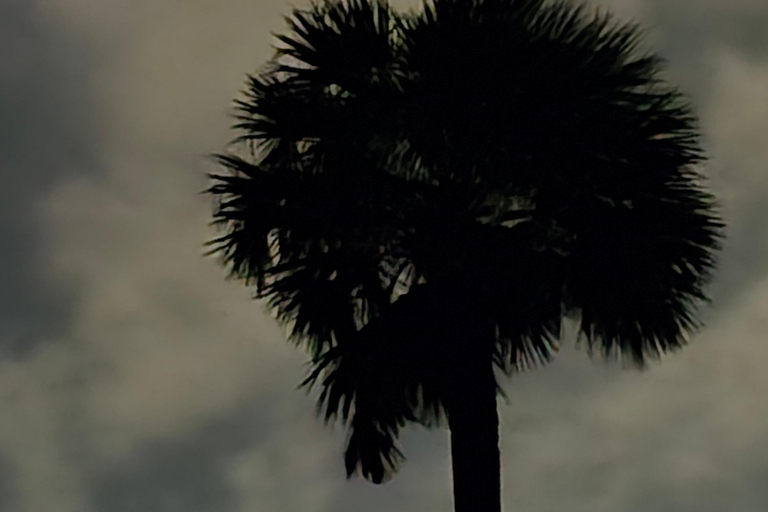 Charleston: Gullah Geechee Culture, Heritage & History Tour.