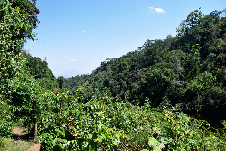 Moshi: Pernoita na aldeia de Chagga com opções para o segundo diaPasseio de um dia à aldeia Chagga e ao Kilimanjaro