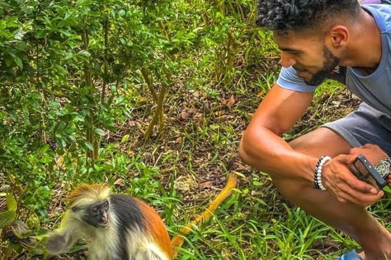 Zanzibar: Privat Jozani-skogen, Kuza-grottan och Rock RestaurantZanzibar: Privat Jozani-skogen, Kuza-grottan och Rock-restaurangen